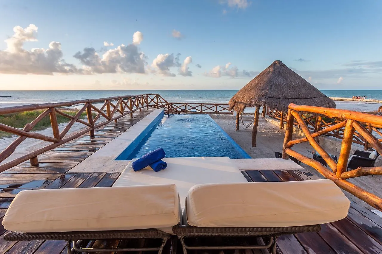 Casa Libelula Beach Front 호텔 홀박스아일랜드